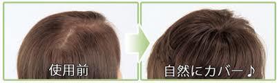 ウィッグ おしゃれ用ウィッグ(かつら)